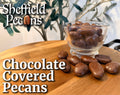 Chocolate Covered Pecans