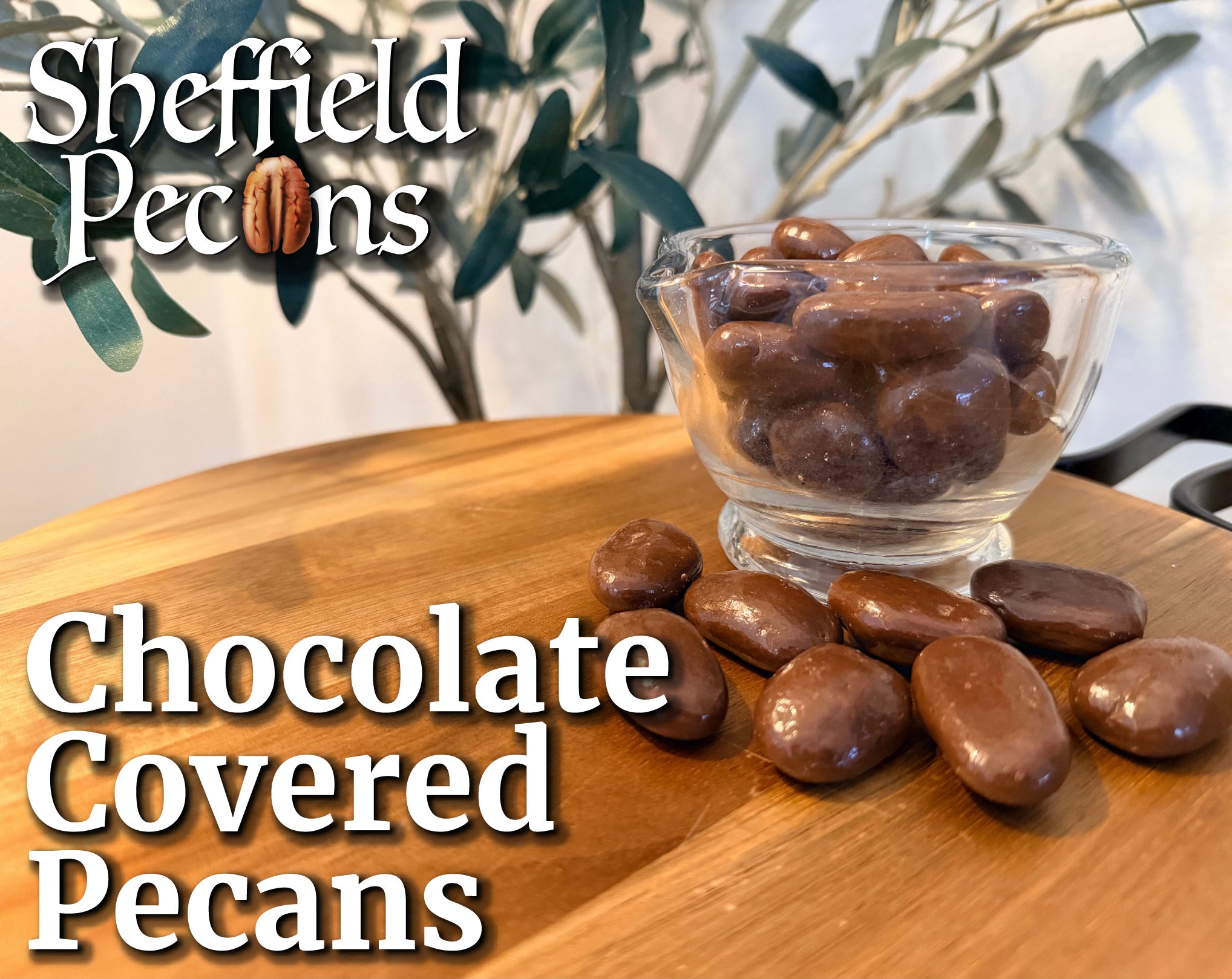 Chocolate Covered Pecans