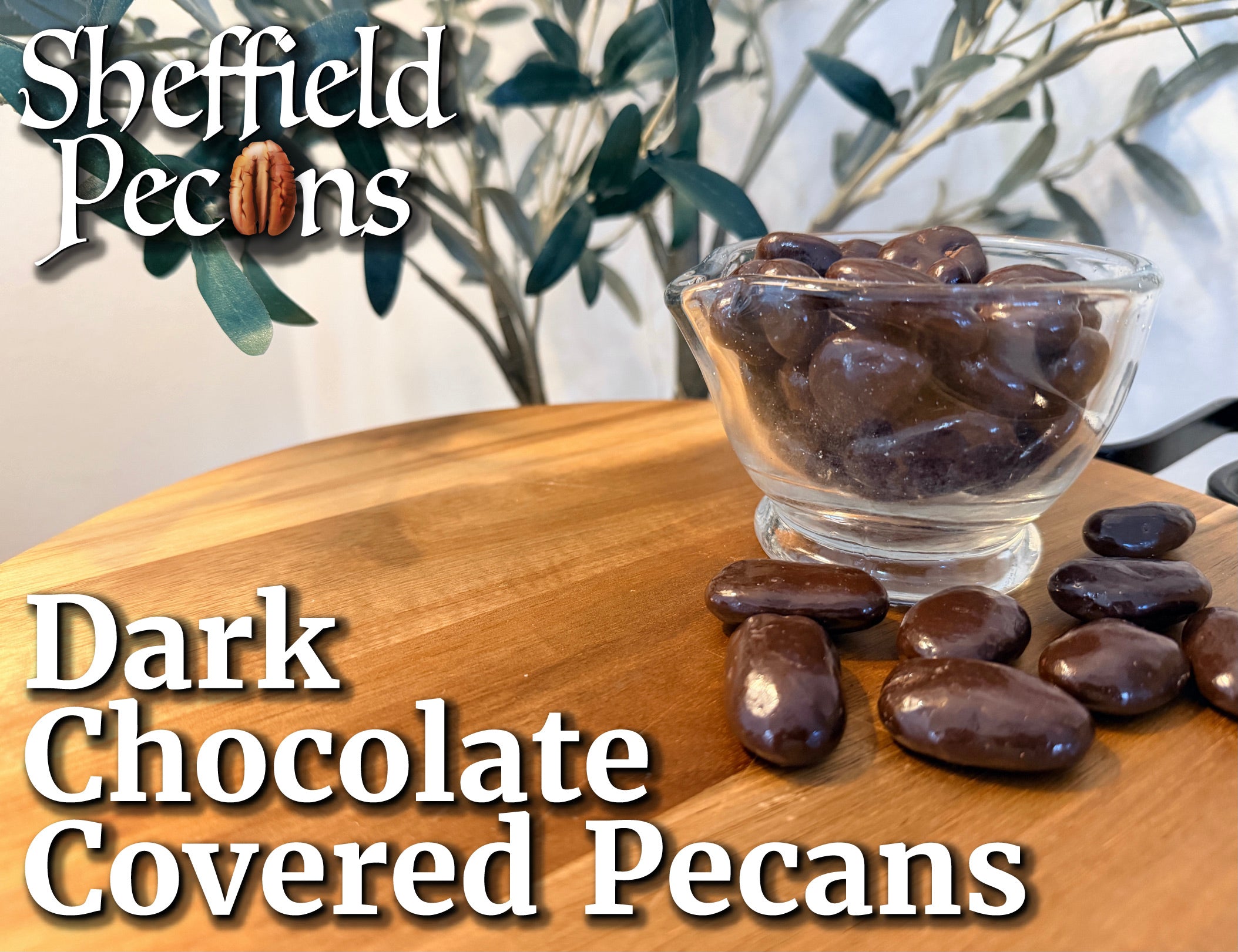 Dark Chocolate Covered Pecans
