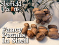 Fancy Pecans In-Shell