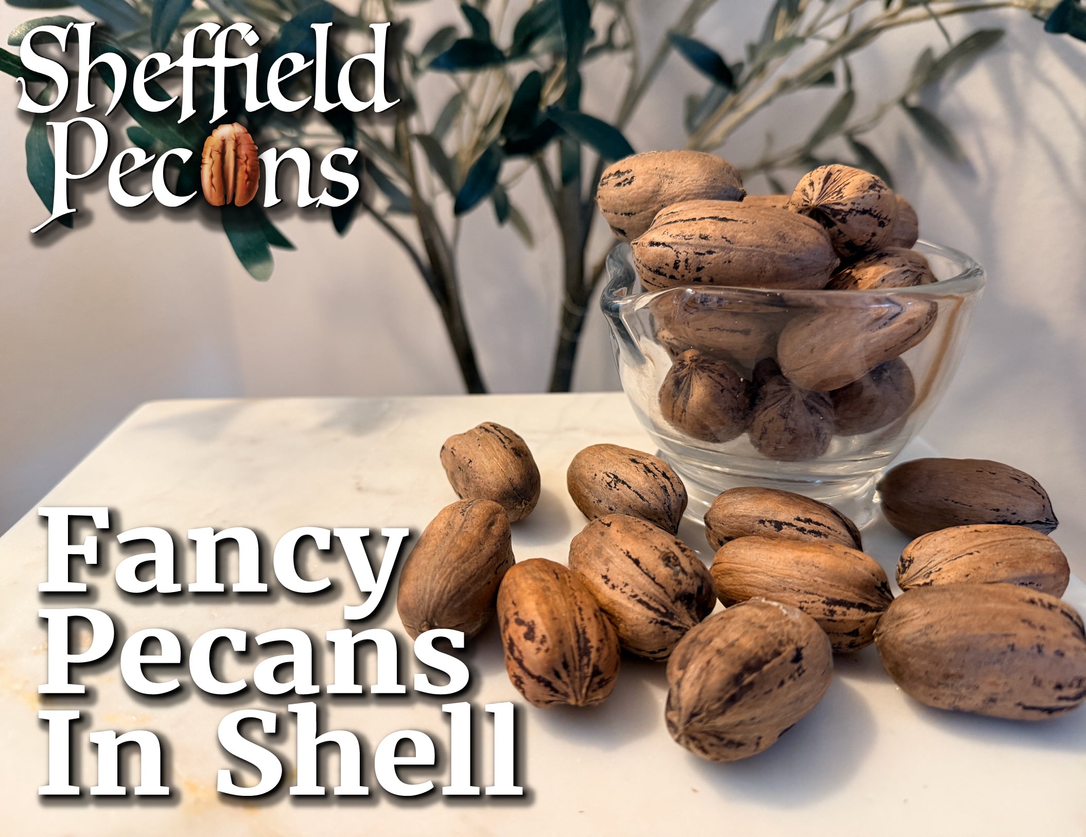 Fancy Pecans In-Shell